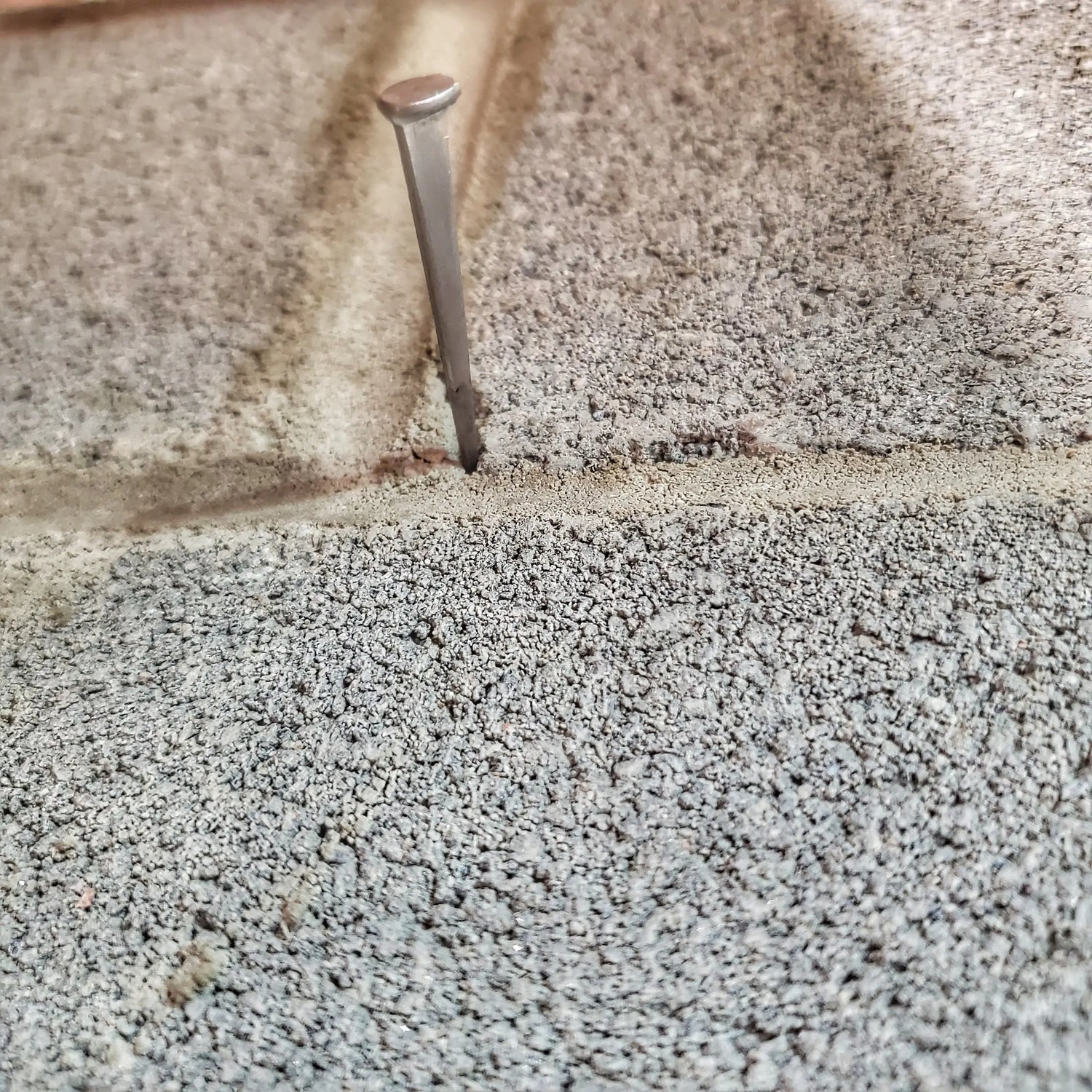 Shelter Nail - Titanium & Steel Wrought Hammering Spike for Trail and Utility Tasks Superesse Straps LLC