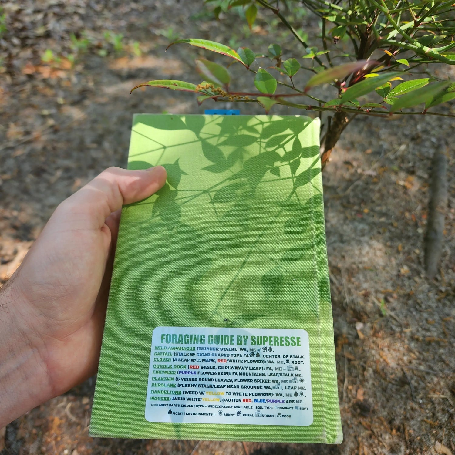 Foraging Guide Decal - Plants and Edibles Quick Identification Reference Superesse Straps LLC
