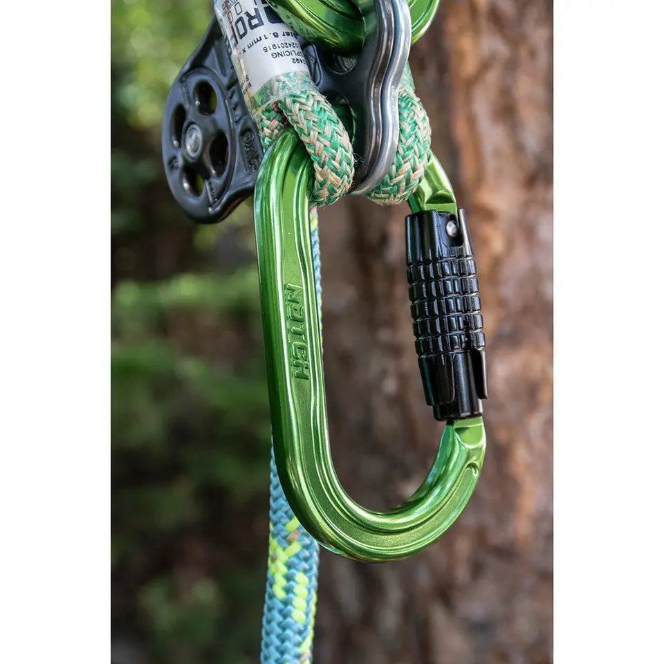 NOTCH ABSOLUTE OVAL CARABINER Notch