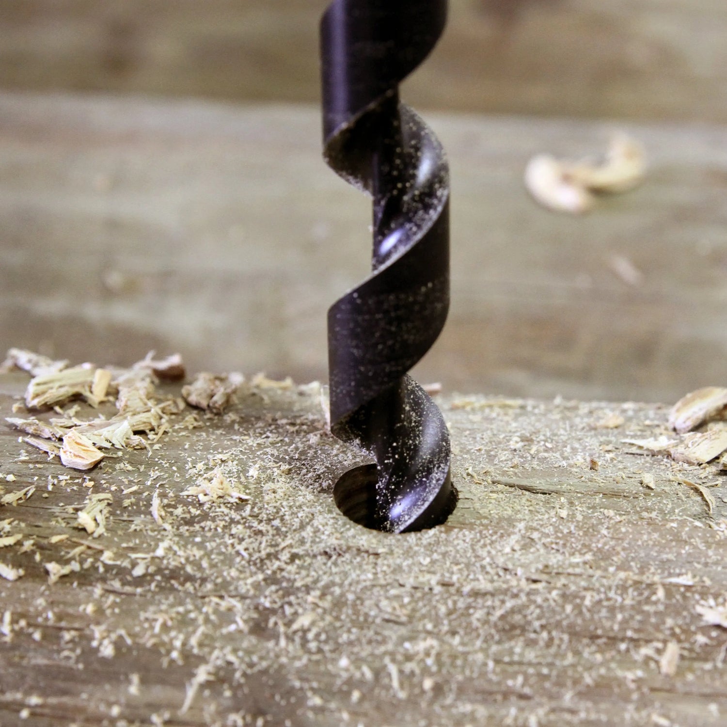 Deep Cut Utility Auger Bits WoodOwl