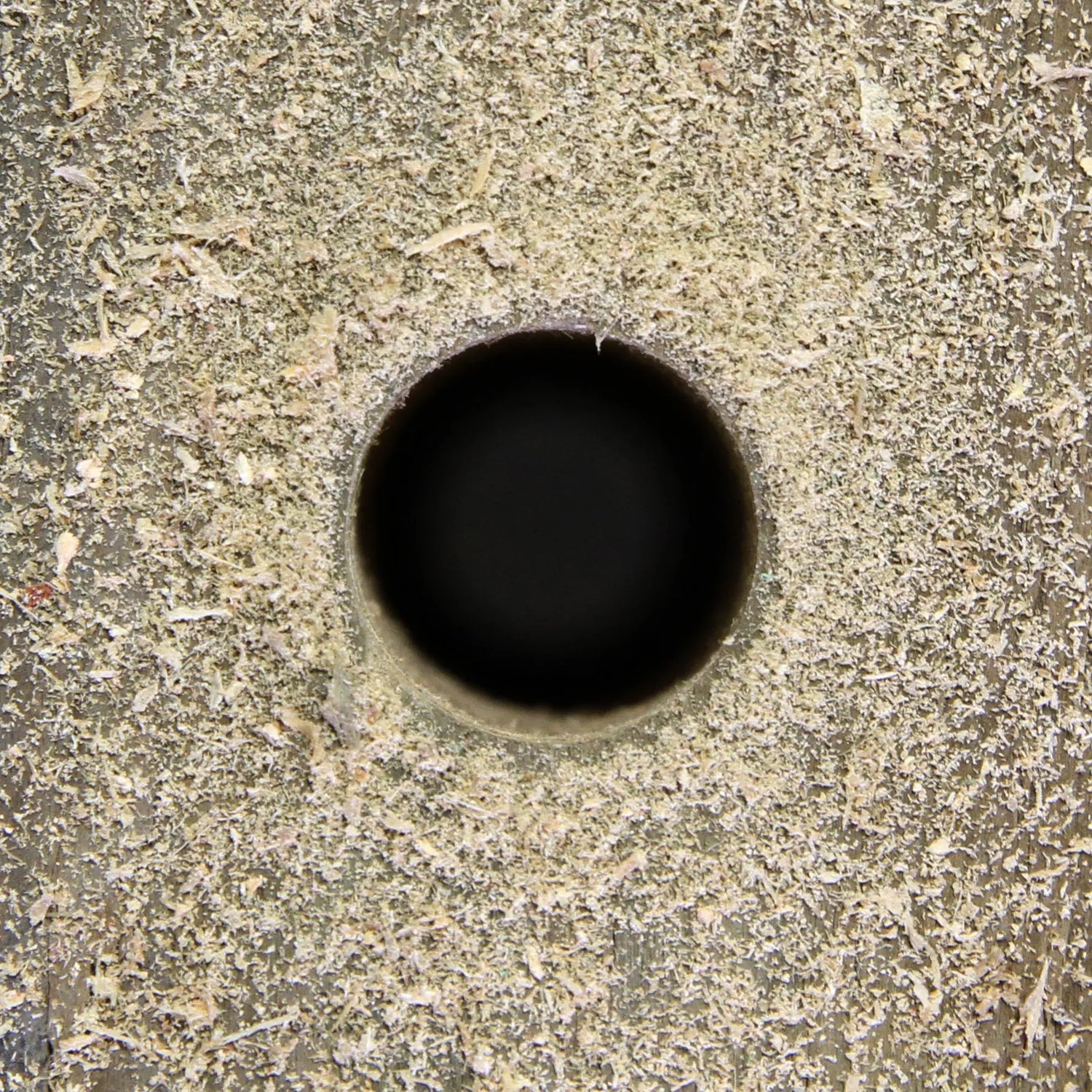 Deep Cut Utility Auger Bits WoodOwl