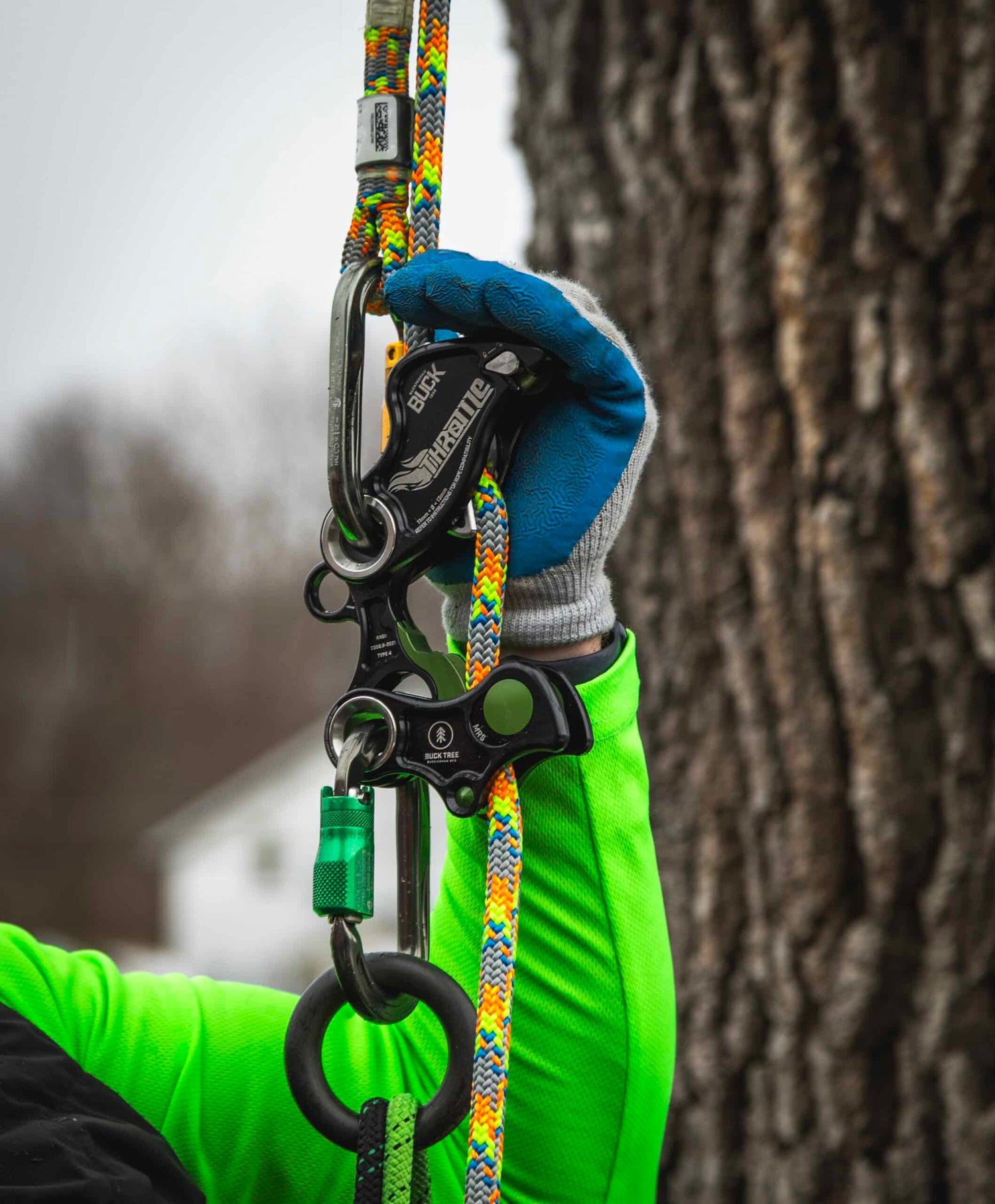 Buckingham - THROTTLE