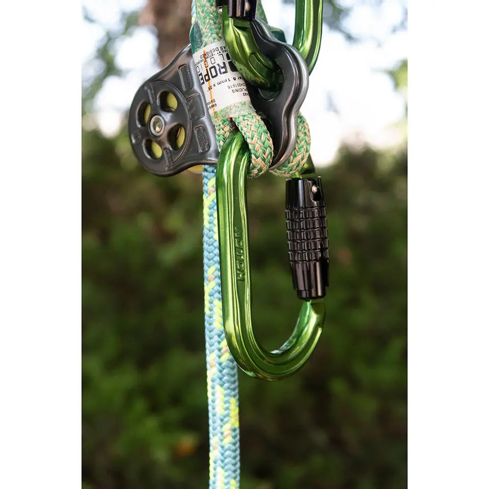 NOTCH ABSOLUTE OVAL CARABINER Notch