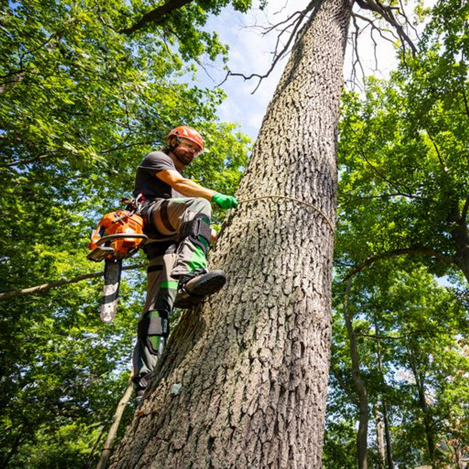 NOTCH - GECKO CARBON FIBER 2.0 CLIMBERS