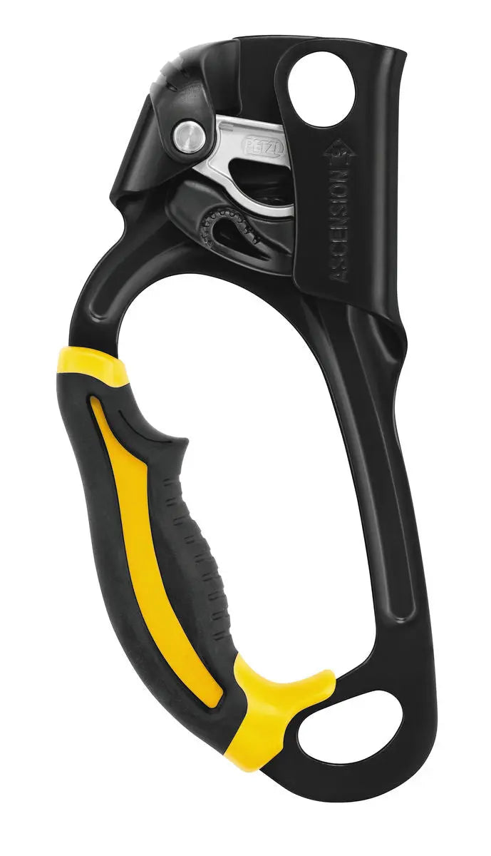 Petzl - ASCENSION Petzl