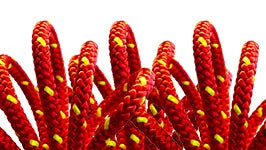 Forestry Pro 12-Strand Arborist Climbing Lines - 1/2