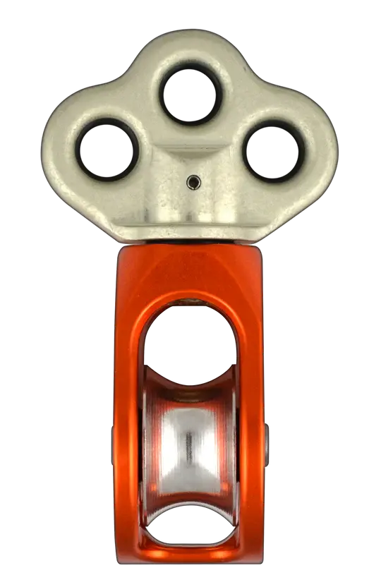 Rock Exotica - Hydra Rock Exotica