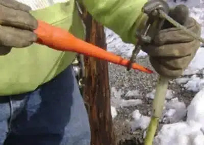 Twistarp - TWISTOOL Twistarp