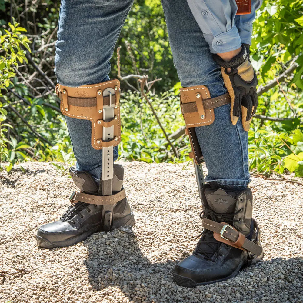 Klein Tree Climber Set 2-3/4-Inch Gaffs, 15 to 19-Inch Klein Tools