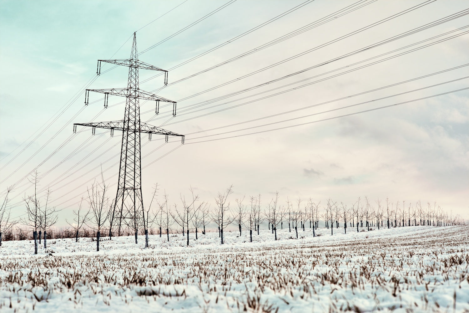 Mastering Winter Work: A Guide to Ideal Apparel for Linemen