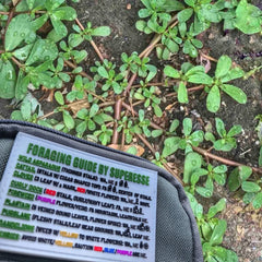 Storage Pocket Patch:  "Foraging Guide", a Plants and Edibles Quick Identification Reference Superesse Straps LLC