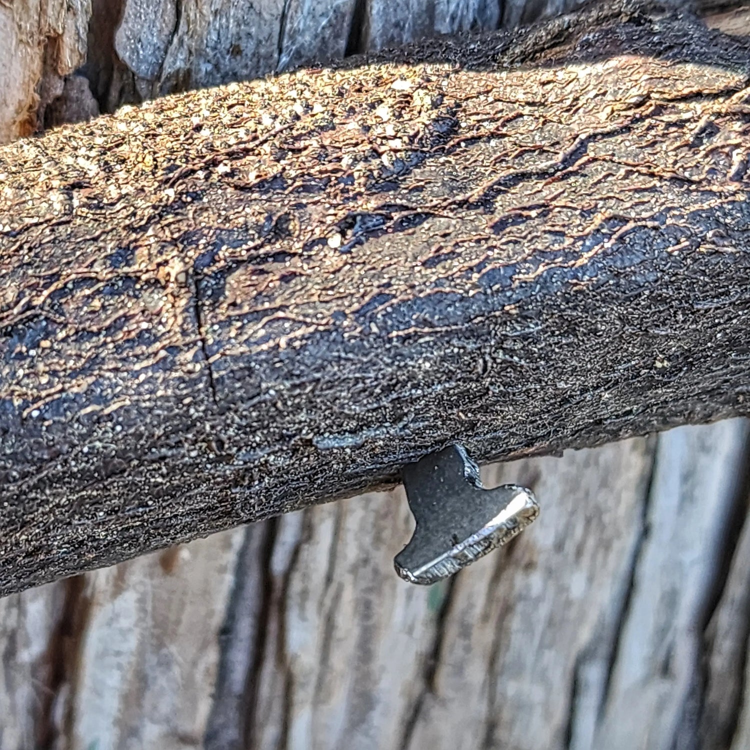Shelter Nail - Titanium & Steel Wrought Hammering Spike for Trail and Utility Tasks Superesse Straps LLC