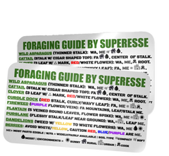 Foraging Guide Decal - Plants and Edibles Quick Identification Reference Superesse Straps LLC