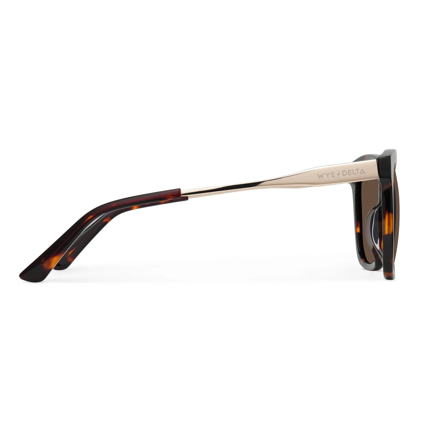 Wye Delta Elara Tortoise Wye Delta LLC