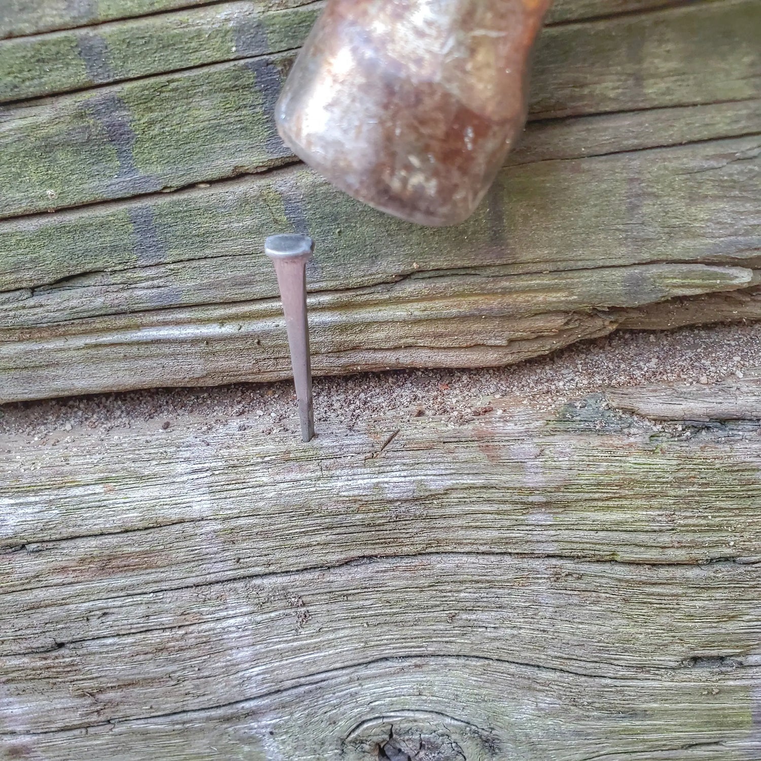 Shelter Nail - Titanium & Steel Wrought Hammering Spike for Trail and Utility Tasks Superesse Straps LLC