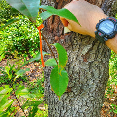 Egress Patch Kit - recon, escape, and evasion supply package Superesse Straps LLC