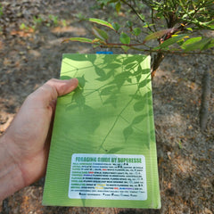 Foraging Guide Decal - Plants and Edibles Quick Identification Reference Superesse Straps LLC