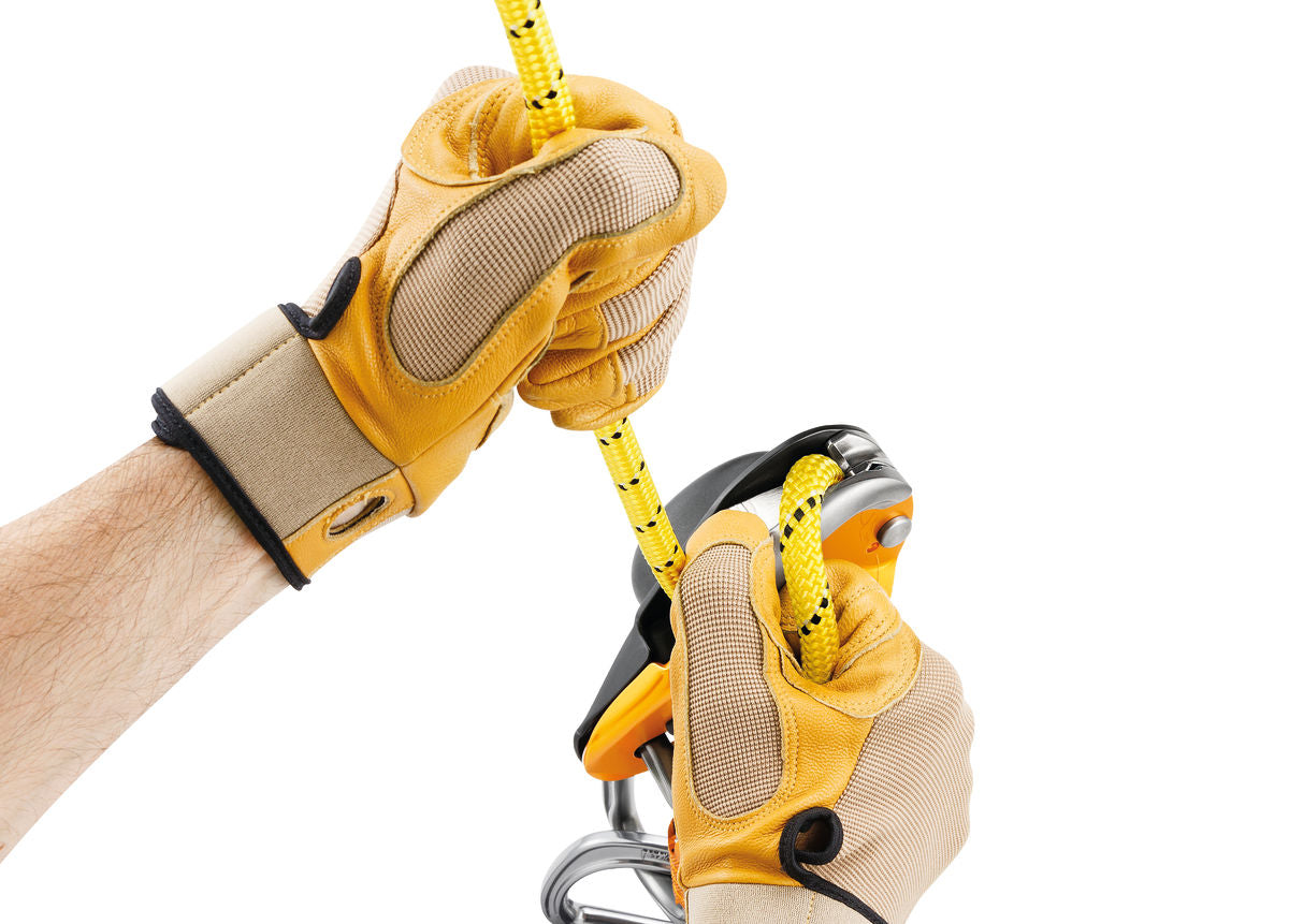 Petzl - RIG®