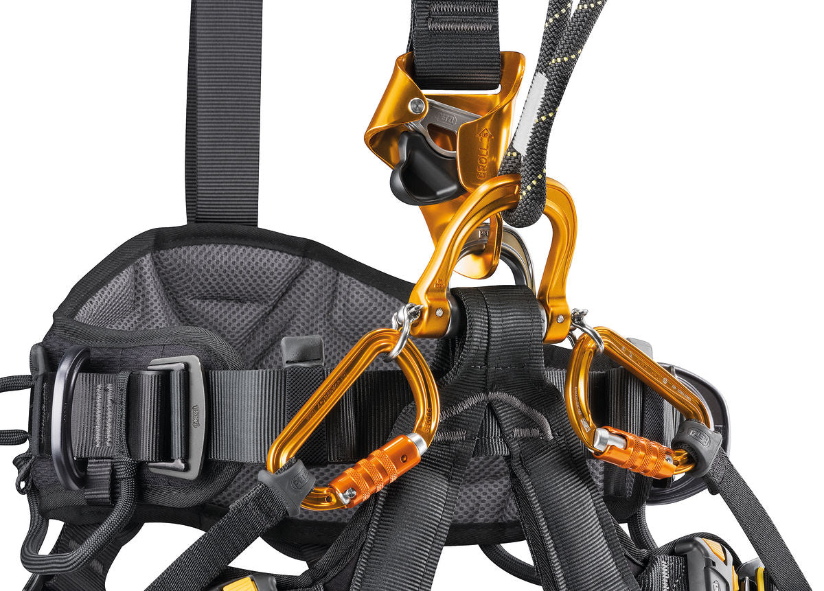 Petzl - ASTRO® BOD FAST International Version